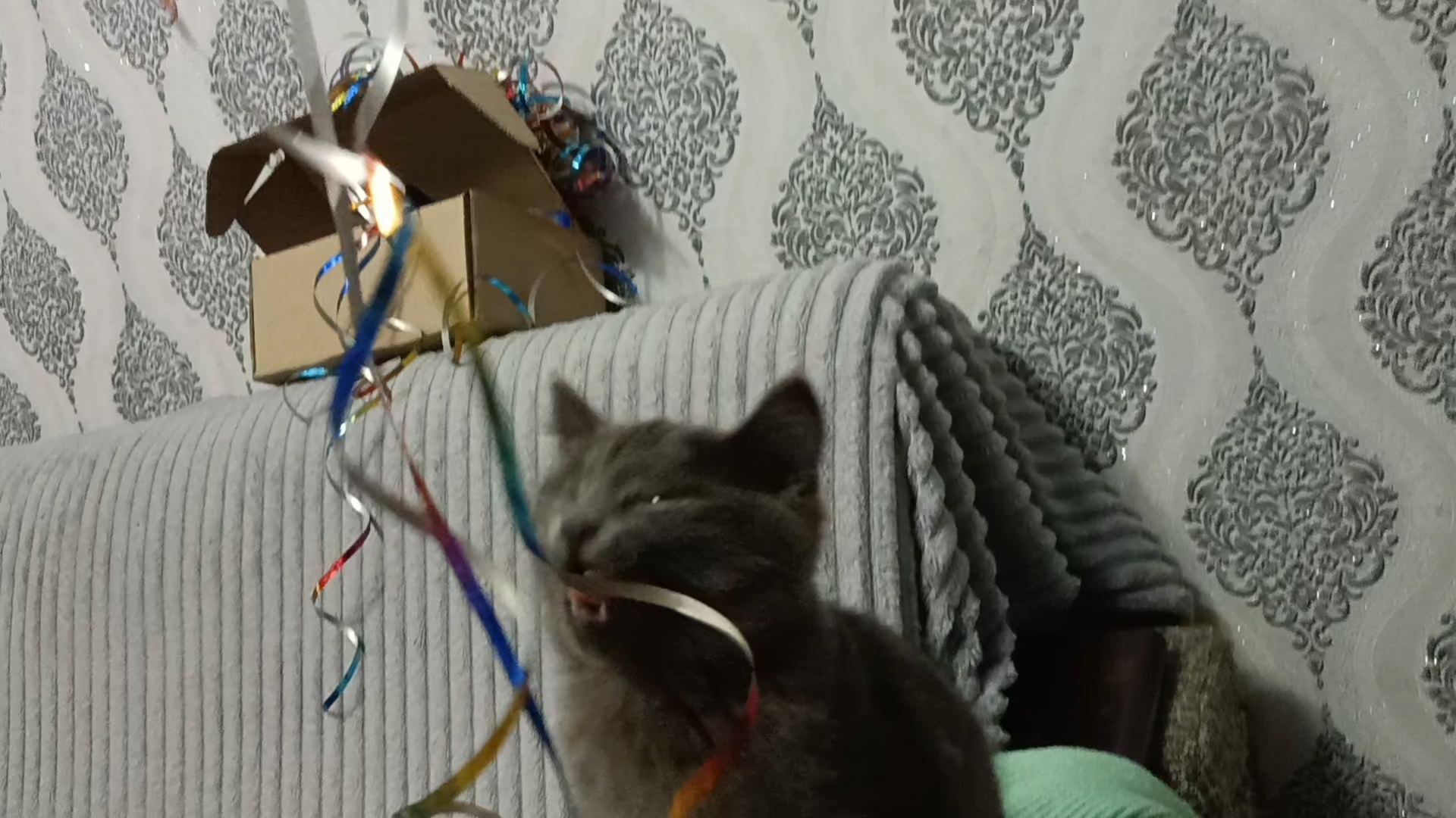 Misty Chewing Ballon Wire